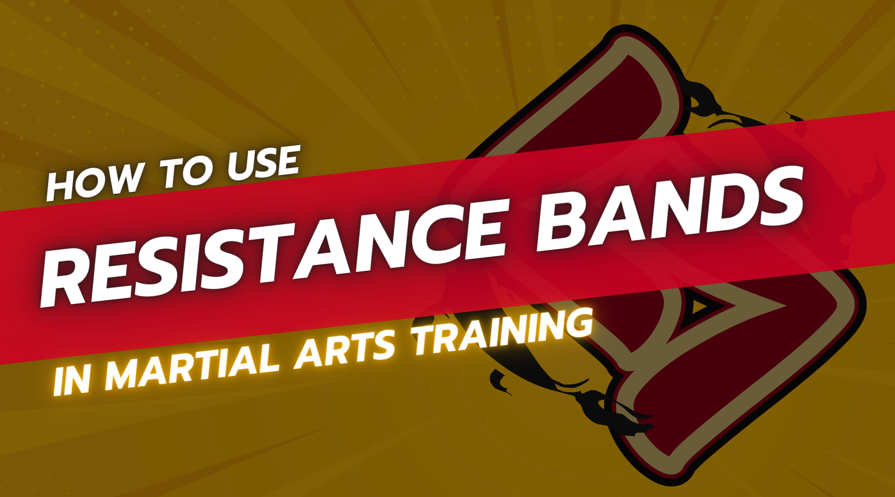 Martial arts resistance bands online