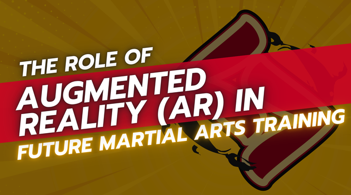 The Role of Augmented Reality (AR) in Future Martial Arts Training